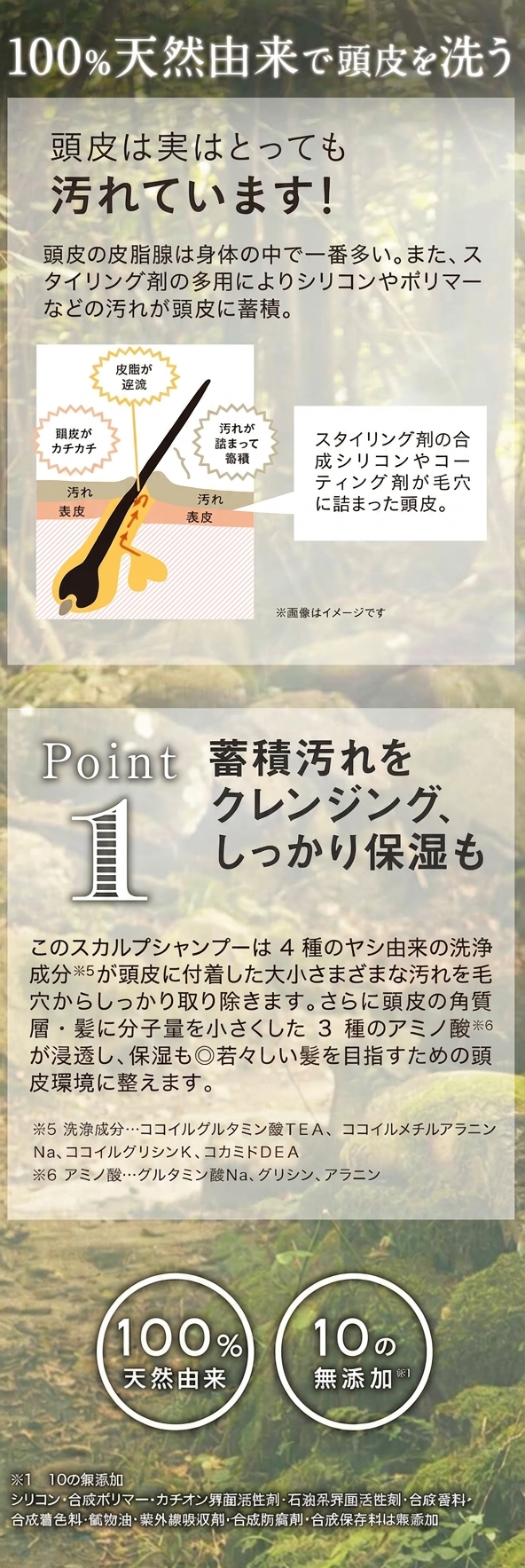 ポイント1：100%天然由来で頭皮を洗う。4種のヤシ由来洗浄成分が蓄積汚れをクレンジングし、しっかり保湿
