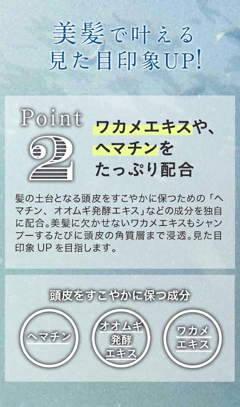 ポイント2：ワカメエキスやヘマチンをたっぷり配合。頭皮をすこやかに保ち美髪で見た目印象UP